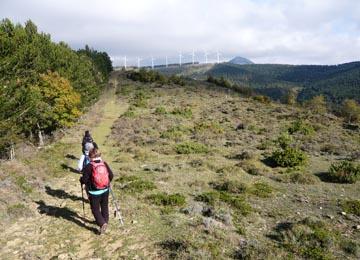 Cuatro personas andando en fila y al fondo se aerogeneradores